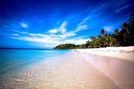 һܲƾ:ծȯͨƿɴ йڿһ