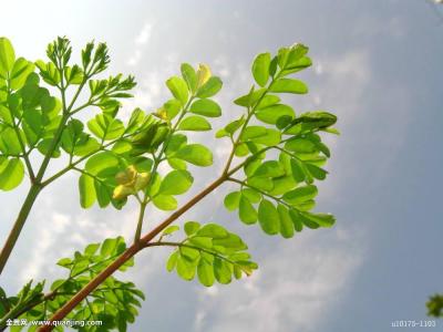 йõԣ⣺ԭɷݸٳɳ֮